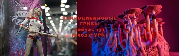 хмурый Каменногорск