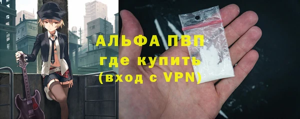 хмурый Каменногорск