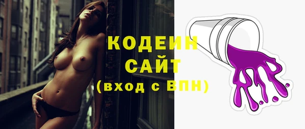хмурый Каменногорск