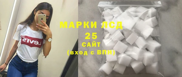 хмурый Каменногорск