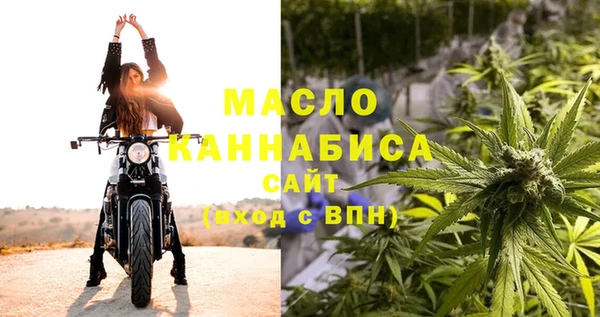 эйфоретик Каменка