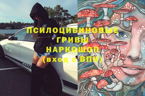 эйфоретик Каменка