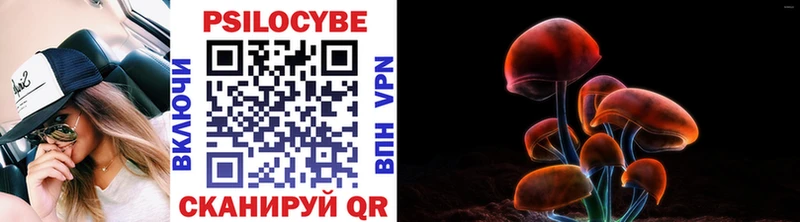 Галлюциногенные грибы прущие грибы  Купить закладки  Шебекино 